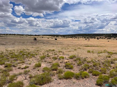 Vacant Land For Sale - LOT 144 Quail Drive<br/> Catron County, Quemado, NM 87829