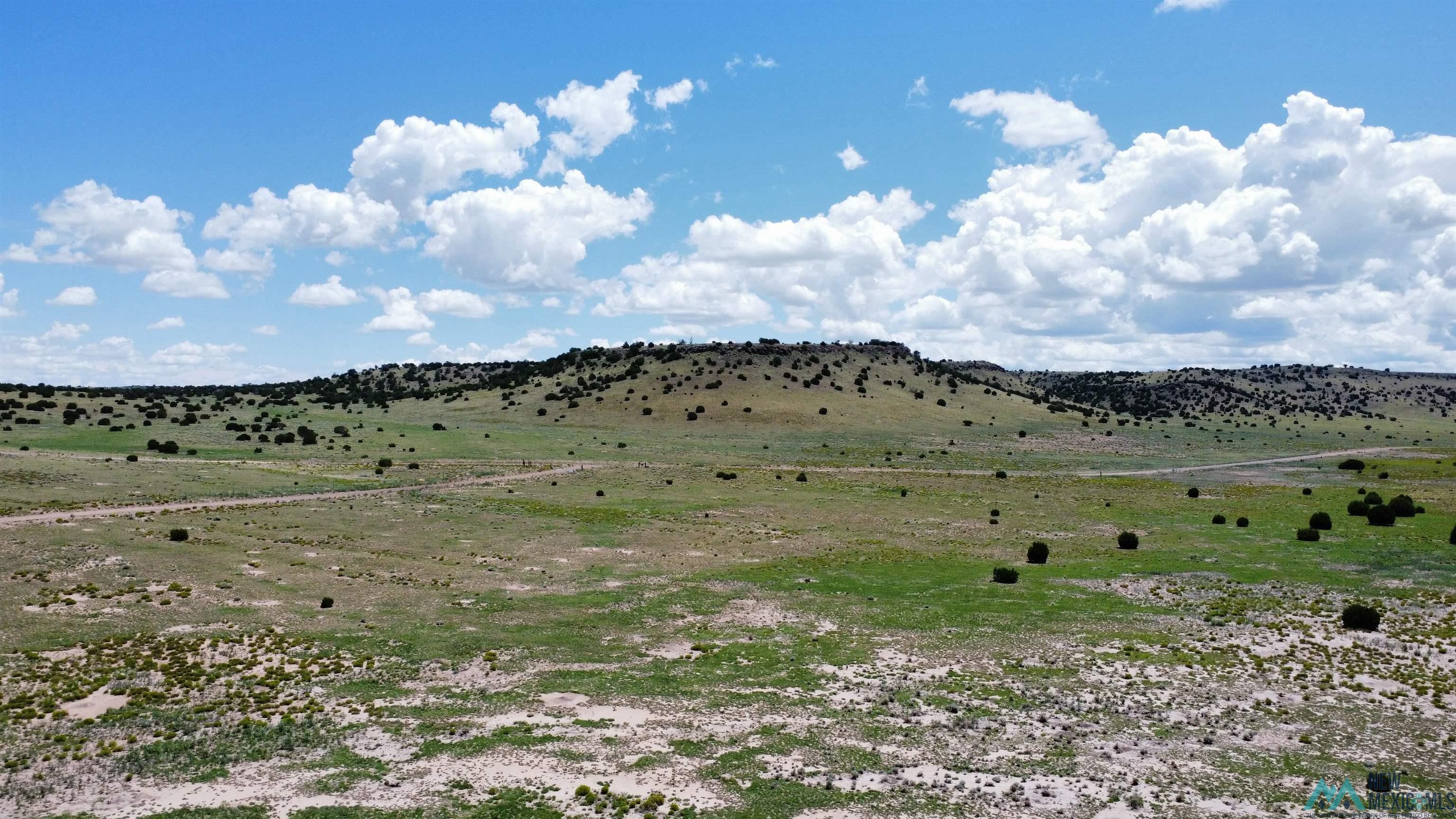 Lot 144 E Quail Drive, Quemado, Texas image 7