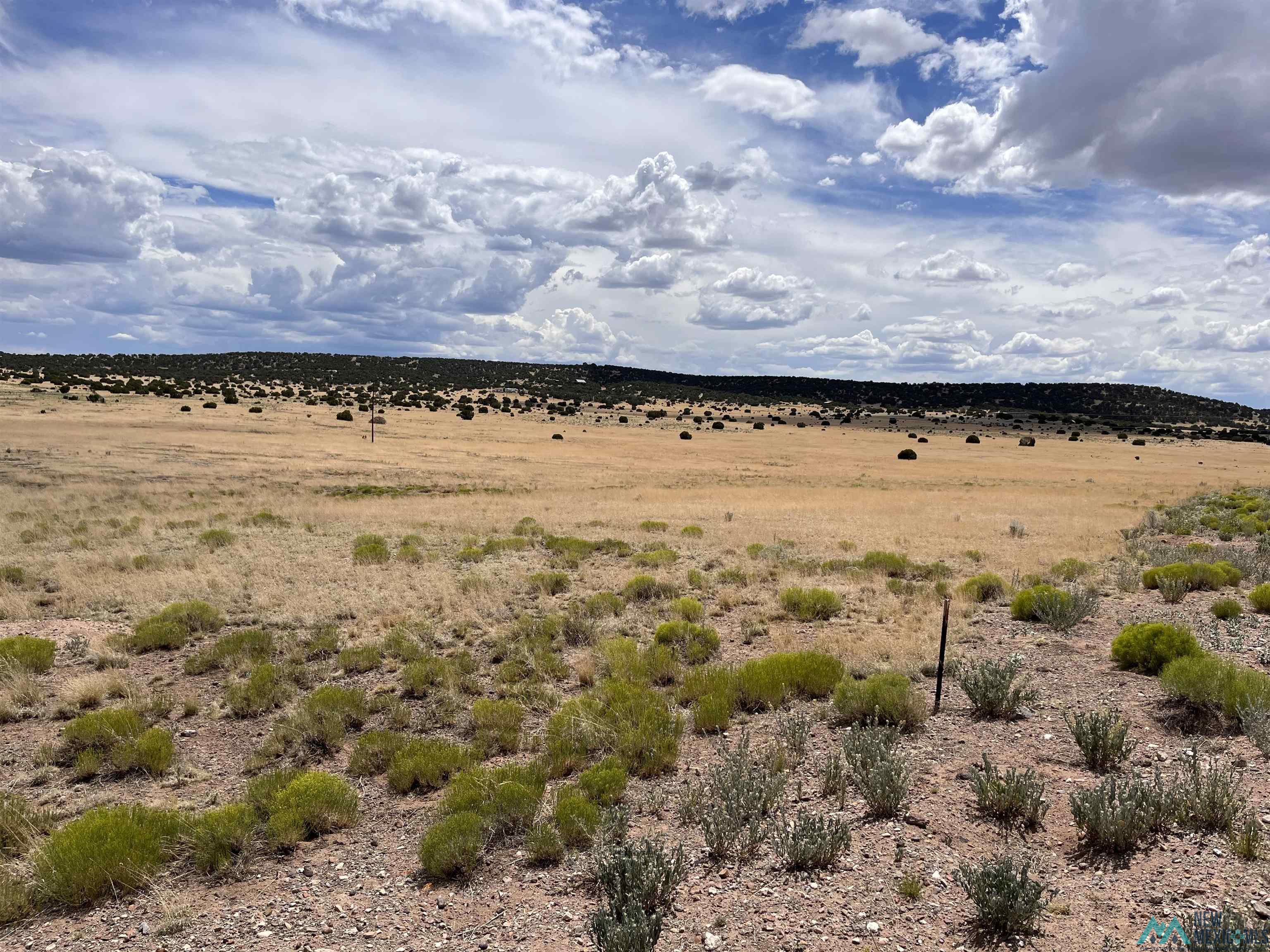 Lot 144 E Quail Drive, Quemado, Texas image 5