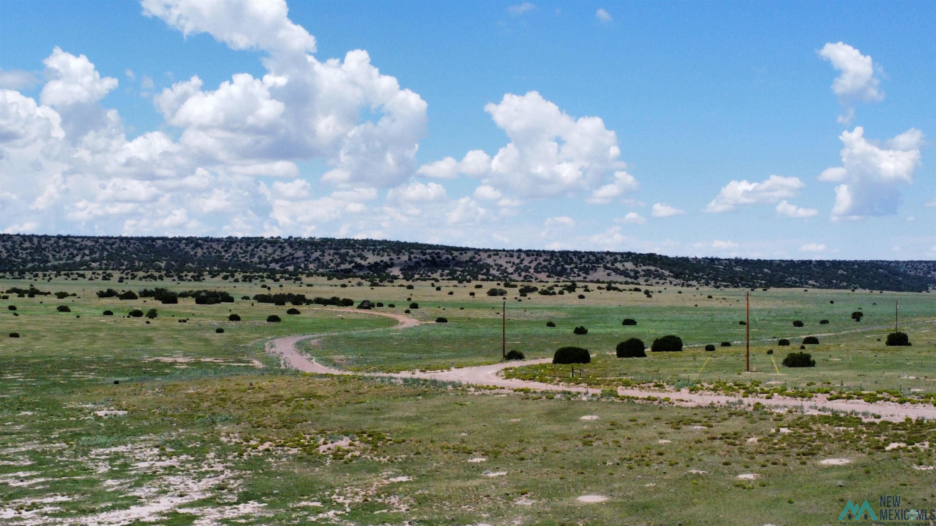 Lot 144 E Quail Drive, Quemado, Texas image 10