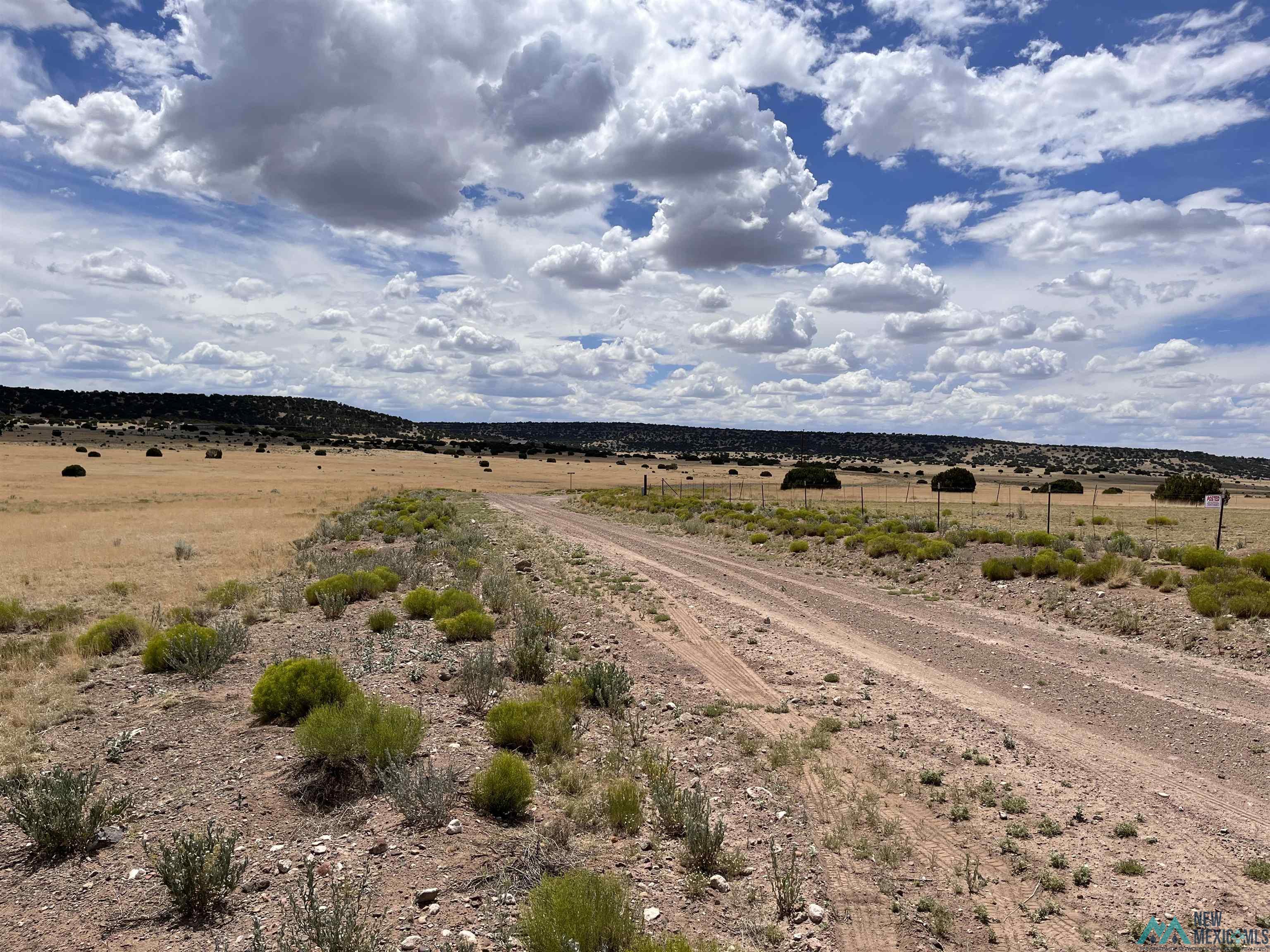 Lot 144 E Quail Drive, Quemado, Texas image 6