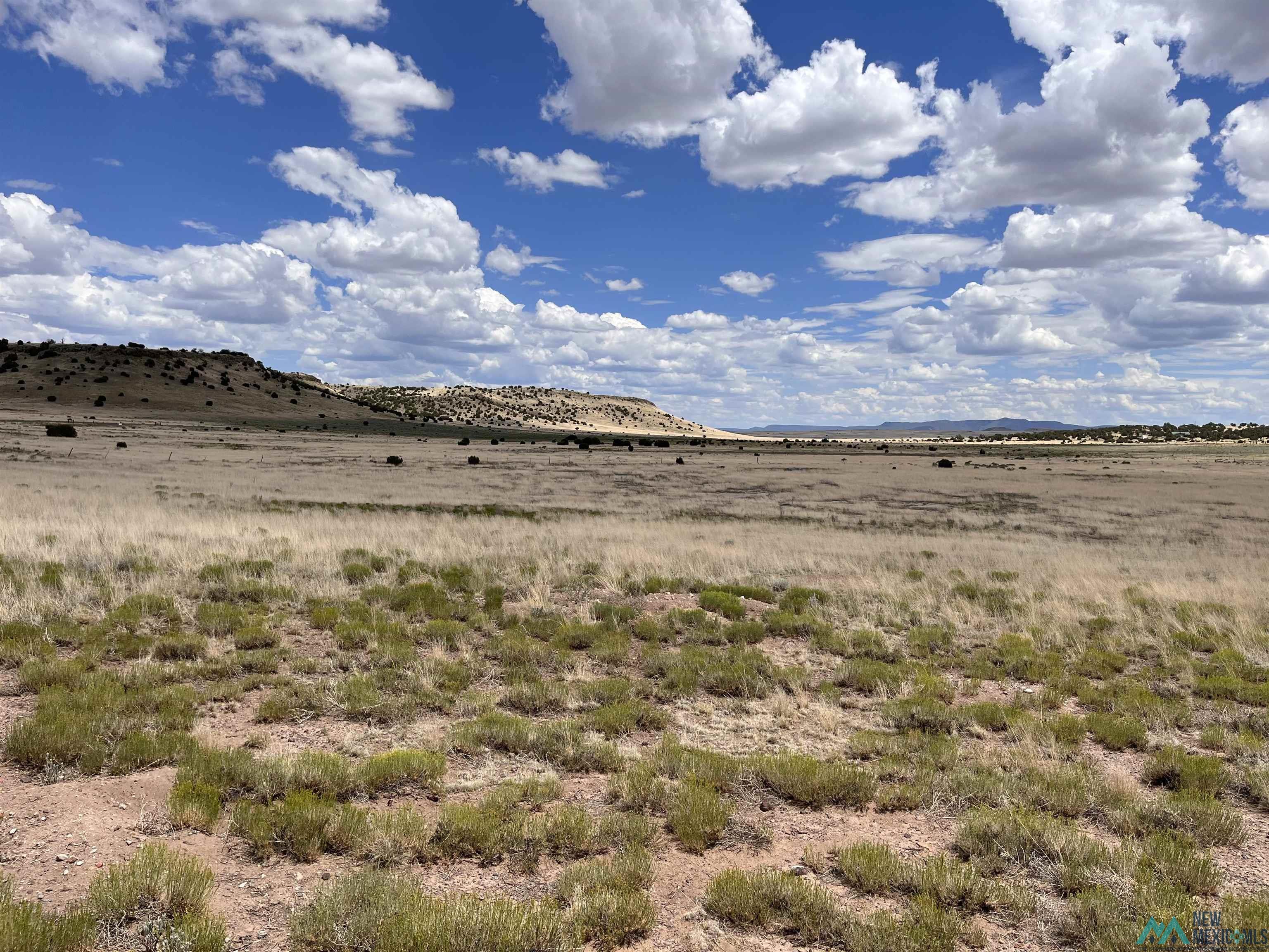 Lot 144 E Quail Drive, Quemado, Texas image 3