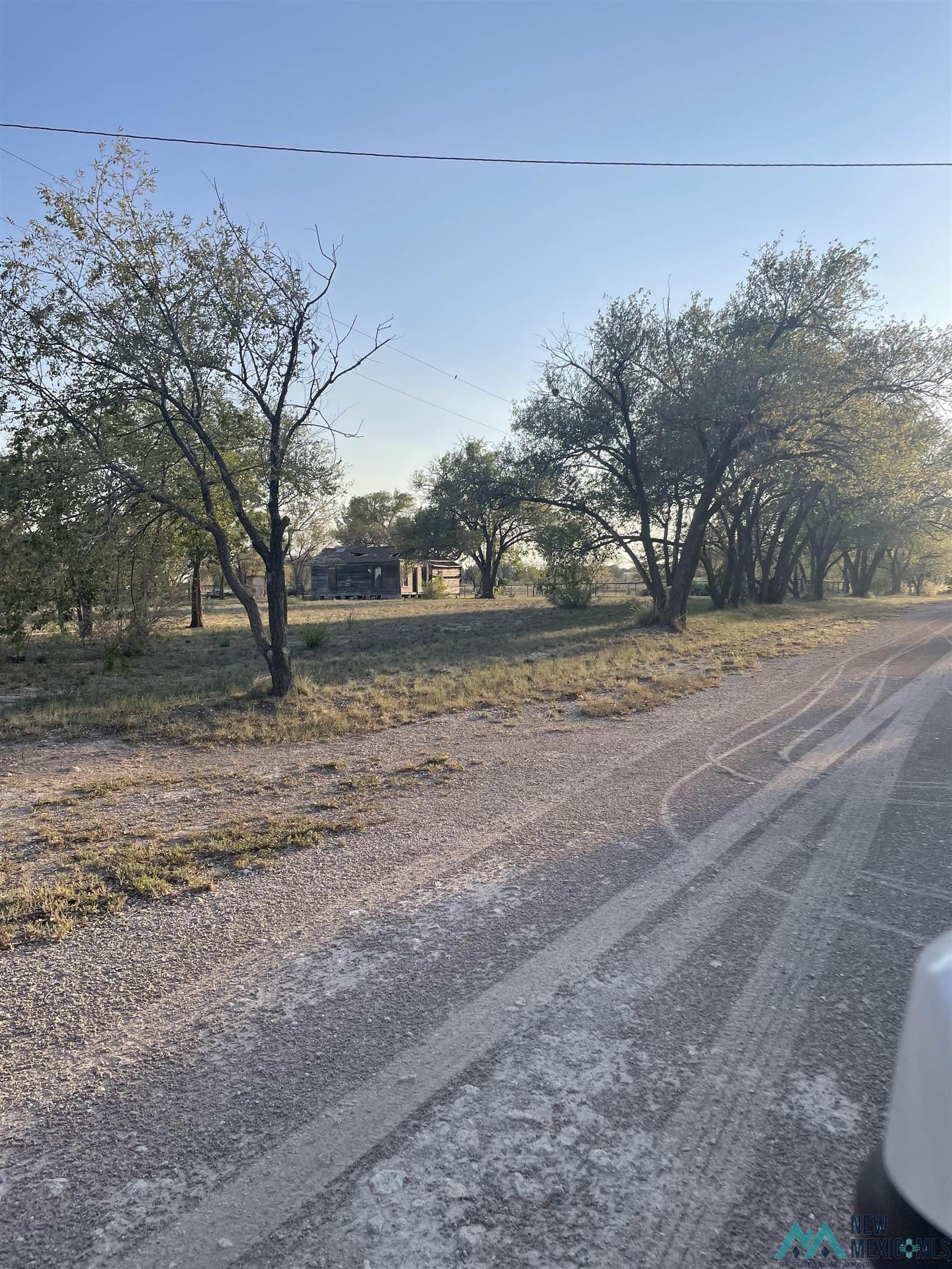 1300 Block E Third Street, Tatum, Texas image 1