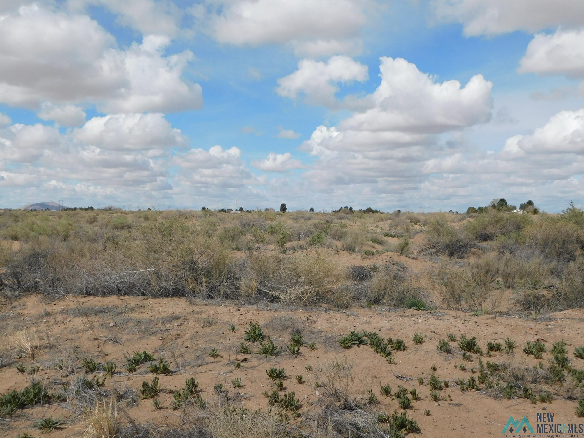 XXXX Joseph Dr Ne, Deming, New Mexico image 6