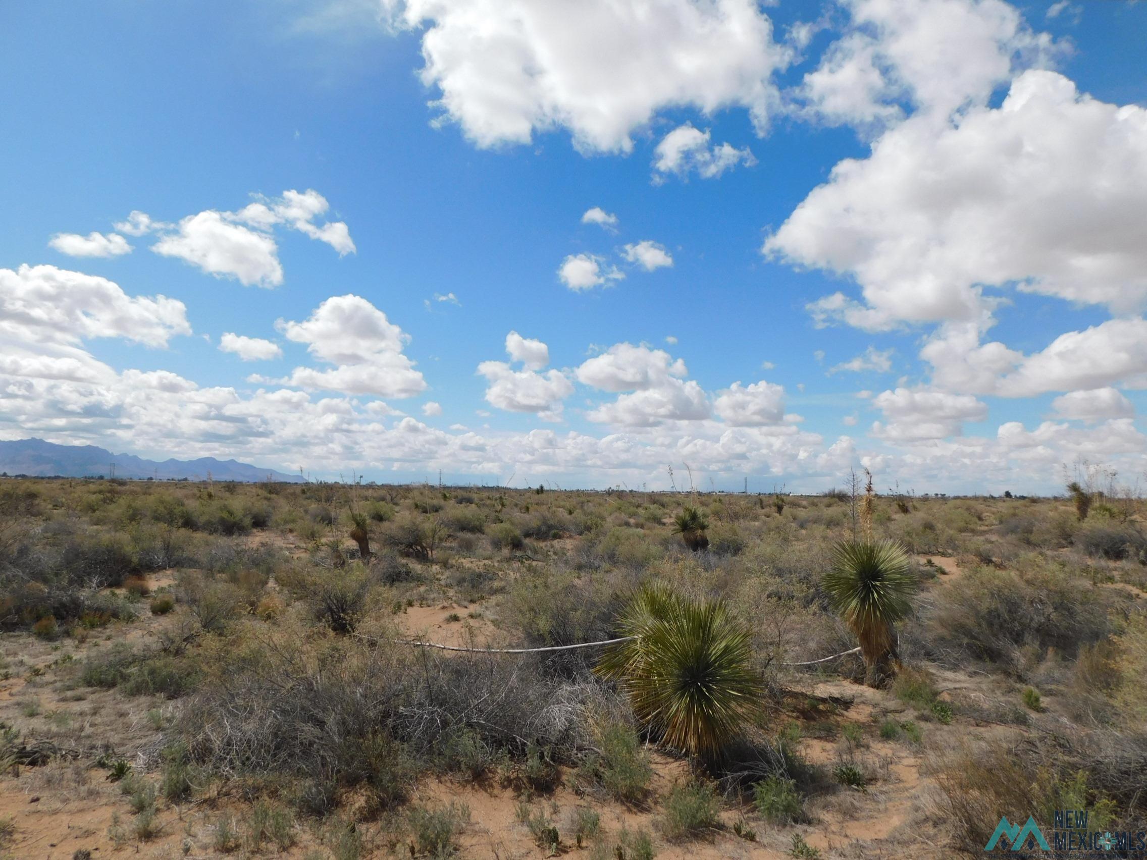 XXXX Joseph Dr Ne, Deming, New Mexico image 9