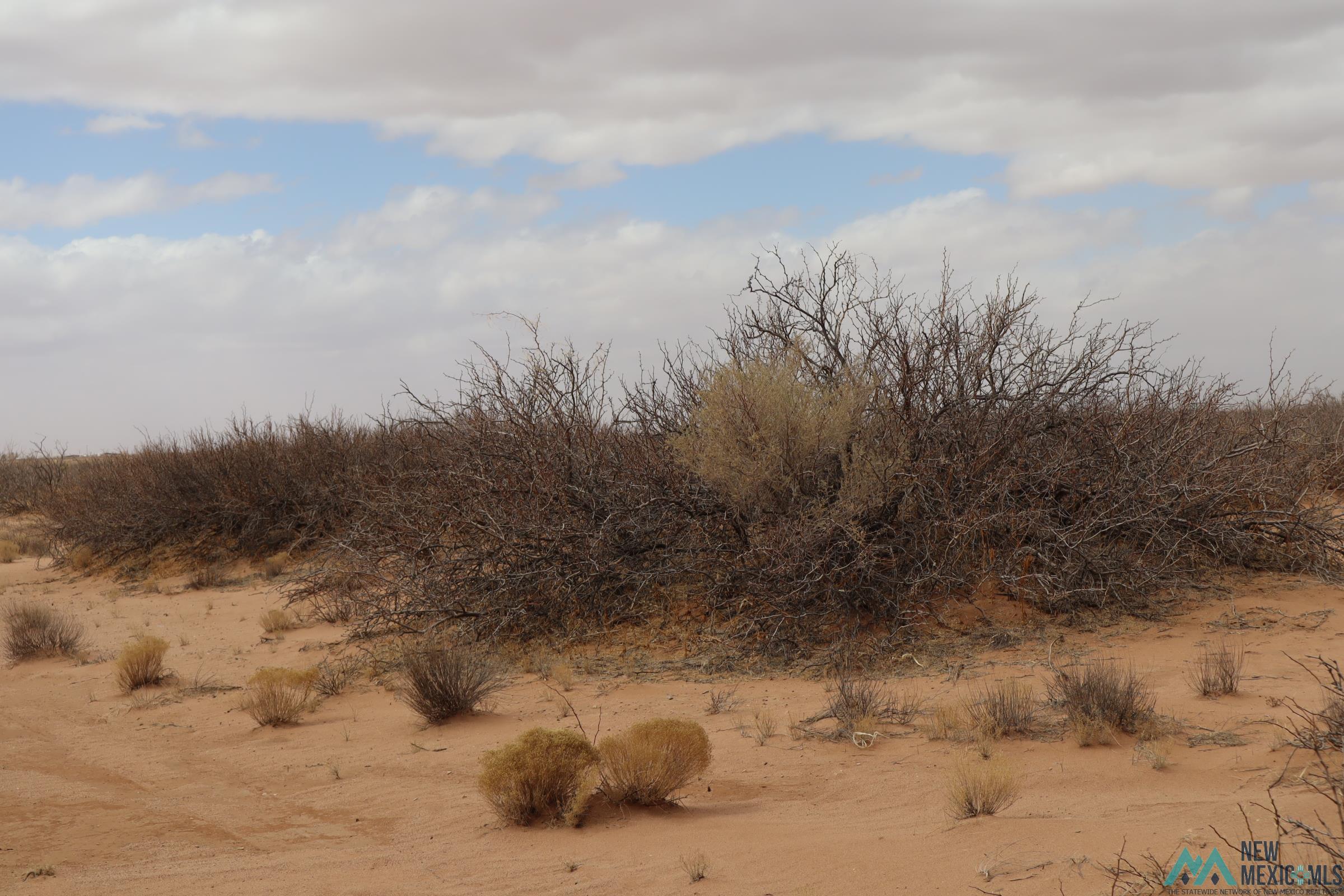 190 Ojo Rd.sw Lane, Deming, New Mexico image 9
