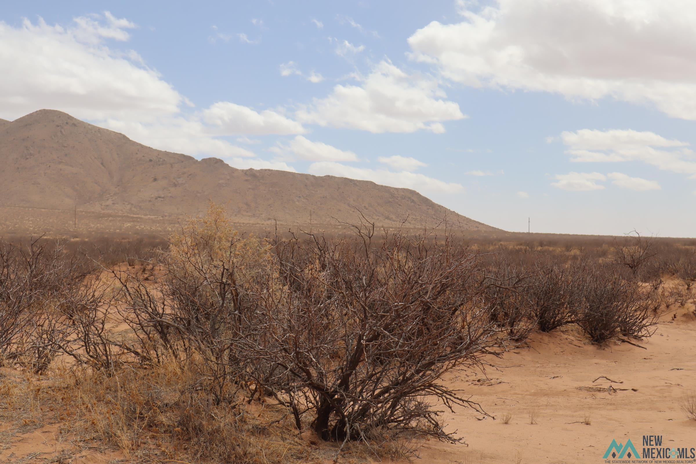 190 Ojo Rd.sw Lane, Deming, New Mexico image 5