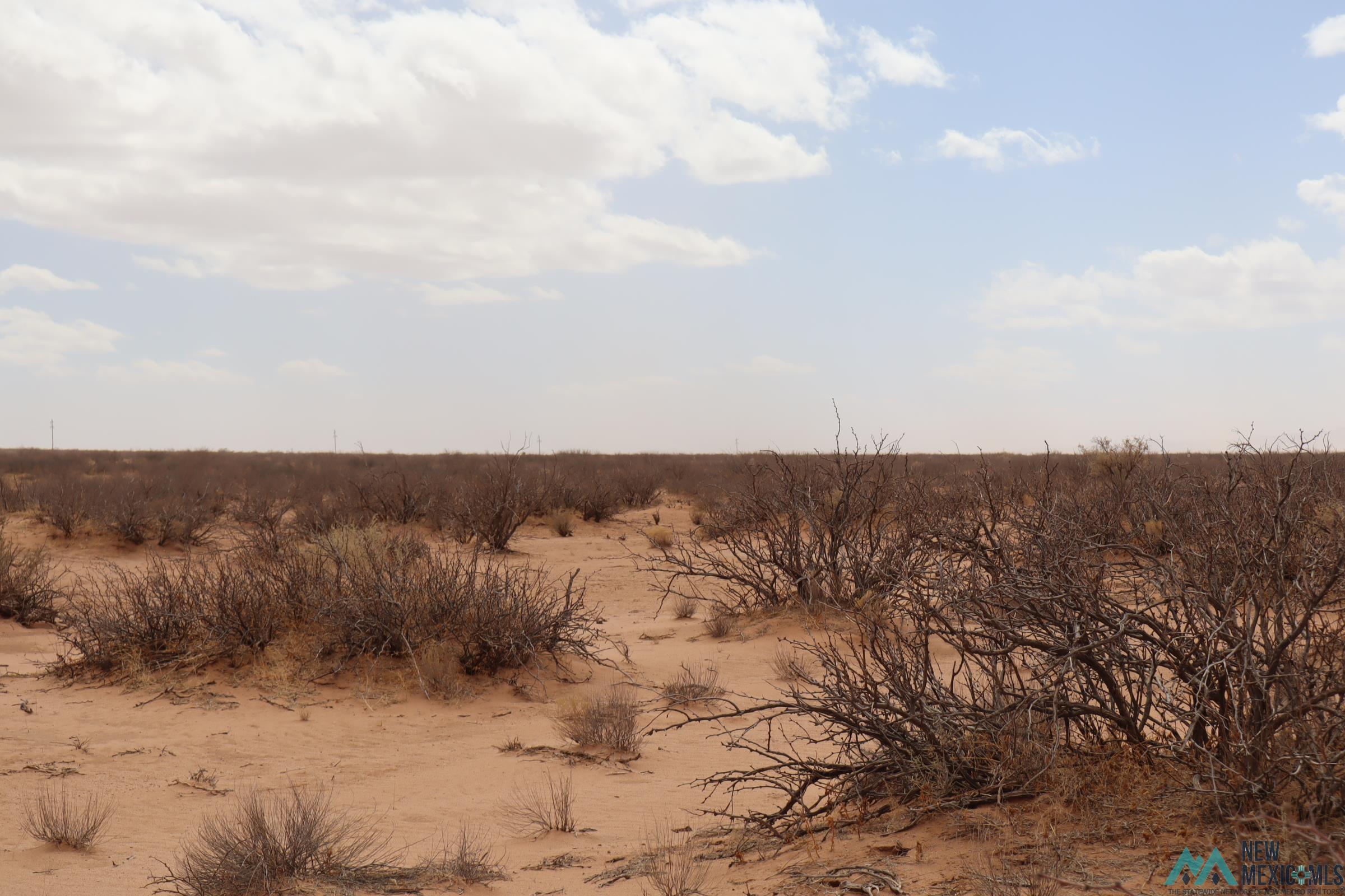 190 Ojo Rd.sw Lane, Deming, New Mexico image 6