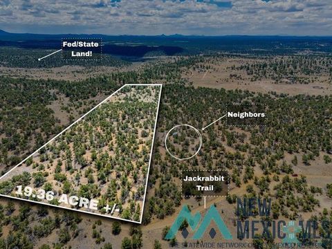Homes For Sale - LOT 9 Jackrabbit Trail<br/> Pinehill, NM 87357