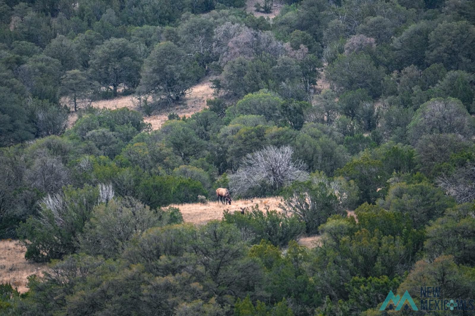 000 Us 380, Carrizozo, Texas image 5