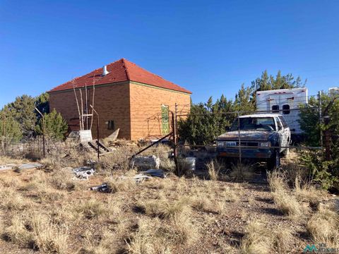 Homes For Sale - 64 San Lorenzo Road<br/> Cibola County, San Fidel, NM 87049