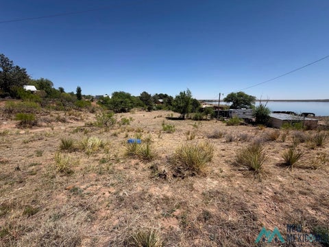 Vacant Land For Sale - 110 Ute Dr<br/> Logan, NM 88426