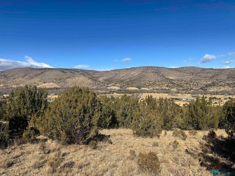 Vacant Land For Sale - 140 Manfor<br/> Lincoln County, Hondo, NM 88348