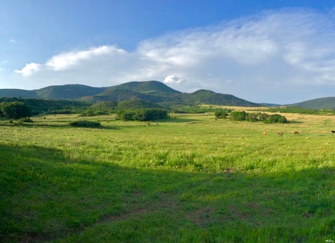Vacant Land For Sale - 56 County Road B008 Rd<br/> Mora County, Chacon, NM 87713