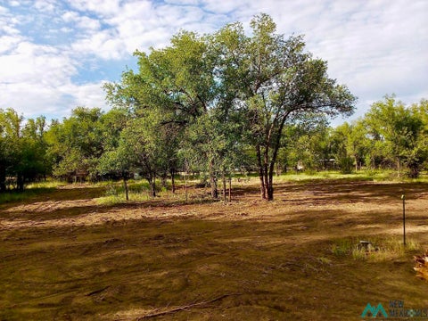 Vacant Land For Sale - 302 10th St<br/> Colfax County, Springer, NM 87747