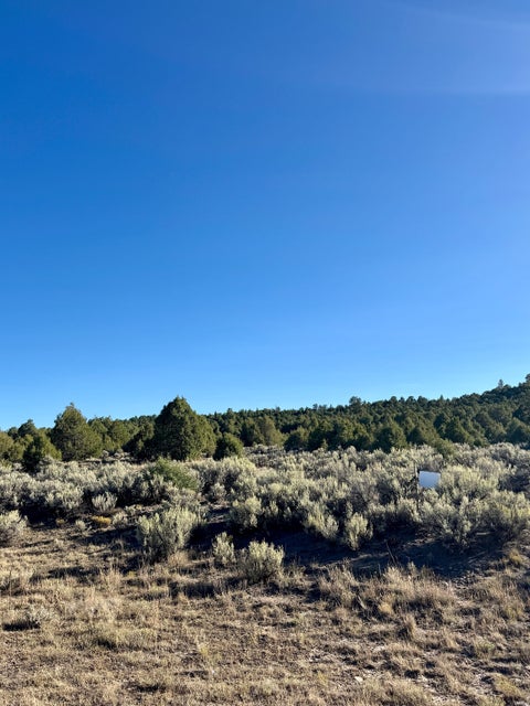 Vacant Land For Sale - 1 East Highway 64<br/> Rio Arriba County, Tierra Amarilla, NM 87575
