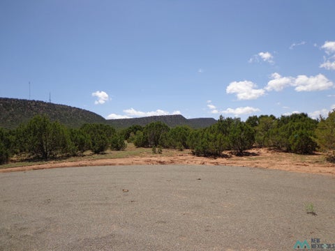 Vacant Land For Sale - 1 Camino Del Sol<br/> Bernal, NM 87569