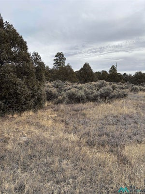 25 PARK VIEW RD, LOS OJOS, NM 87551 - Image 1896d4cb522f8b0251ce73b2ee31fc3e/3750484405