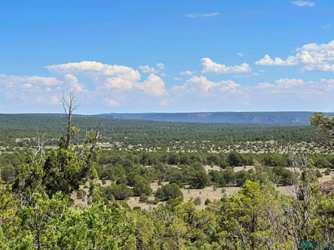 Vacant Land For Sale - 7 Tierra De Dios Rd<br/> Rowe, NM 87562