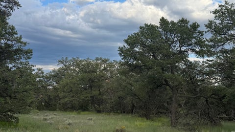 Vacant Land For Sale - 62 Dreamcatcher Drive Dr #45<br/> Cibola County, Fence Lake, NM 87315