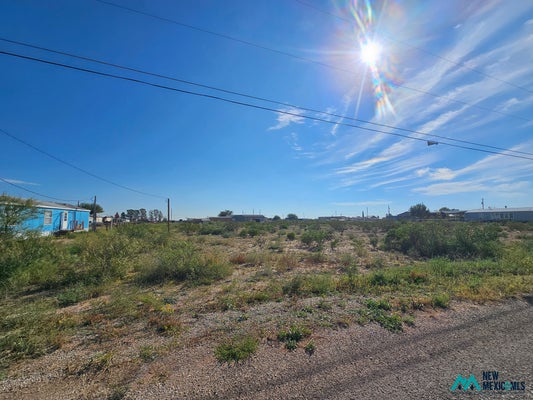 7108 CHOLLA RD, CARLSBAD, NM 88220 - Image 236aaae0dfe6d189cdf27b2d1aad6ba9/2985380459
