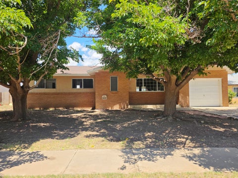 Homes For Sale - 1013 Caminisito St<br/> Chaves County, Roswell, NM 88203