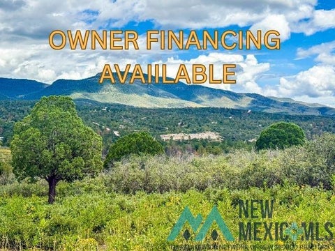 Vacant Land For Sale - 3 Paradise Valley Ct<br/> Timberon, NM 88350