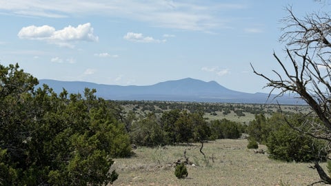 Vacant Land For Sale - 22 Running Bear Cir #93<br/> Quemado, NM 87829