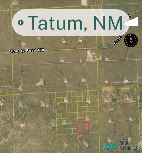 Vacant Land For Sale - Tatum<br/> Lea County, Tatum, NM 88267