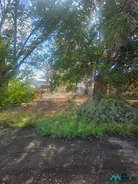 Vacant Land For Sale - Land<br/> Deming, NM 88030