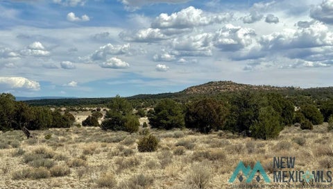 Vacant Land For Sale - 16 Five Gate<br/> Cibola County, Pinehill, NM 87357