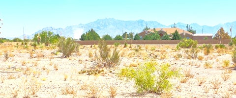 Vacant Land For Sale - 99 S Hermanas Grade Sw Rd<br/> Luna County, Deming, NM 88030