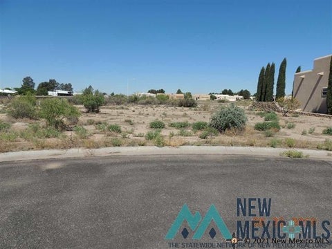 Vacant Land For Sale - Slice Road<br/> Luna County, Deming, NM 88030