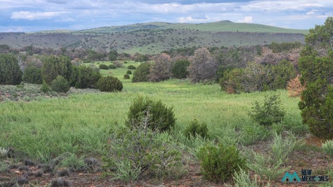 Vacant Land For Sale - 49 Sweetwater Dr. Dr #83<br/> Catron County, Quemado, NM 87829
