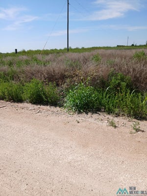 620 SOUTH AVE E, PORTALES, NM 88130 - Image 3cc1a4fc7a366cd7d9ecefecf8fa978a/753998723