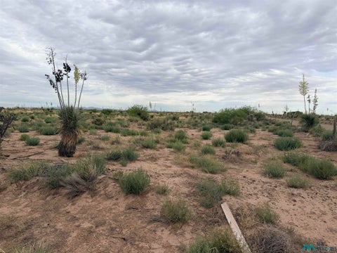 Vacant Land For Sale - Hondale Rd Sw<br/> Luna County, Deming, NM 88030