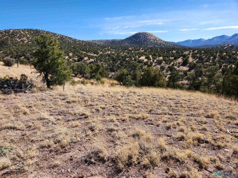 Vacant Land For Sale - 1 0000 State Road 169<br/> Socorro County, Magdalena, NM 87825