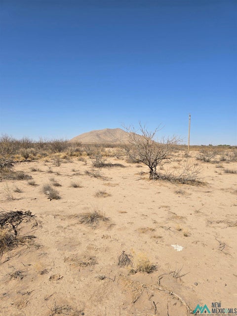 Vacant Land For Sale - Rosa Rd Sw<br/> Luna County, Deming, NM 88030