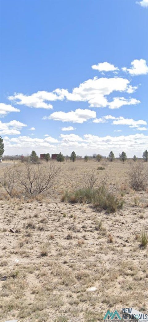 Vacant Land For Sale - S Eubank<br/> Lea County, Tatum, NM 88267