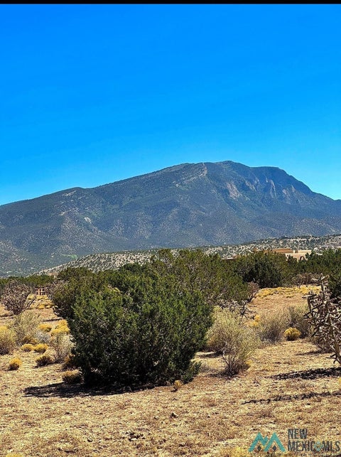 Vacant Land For Sale - 3 N Pony Ct<br/> Sandoval County, Placitas, NM 87043