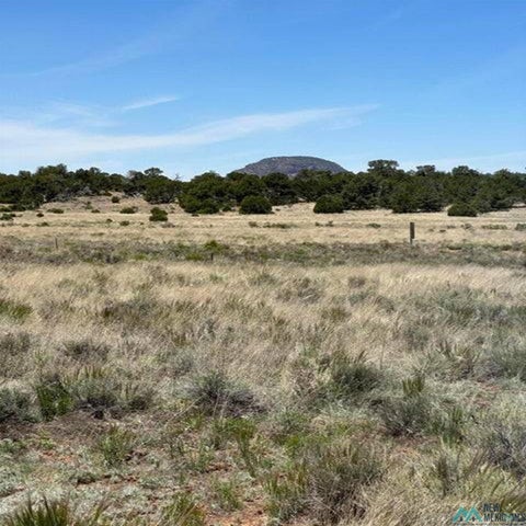 Vacant Land For Sale - 139 Blue Hills<br/> Pie Town, NM 87821