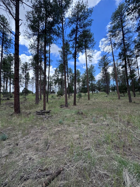 Vacant Land For Sale - 1 Paradise Vly<br/> Timberon, NM 88350