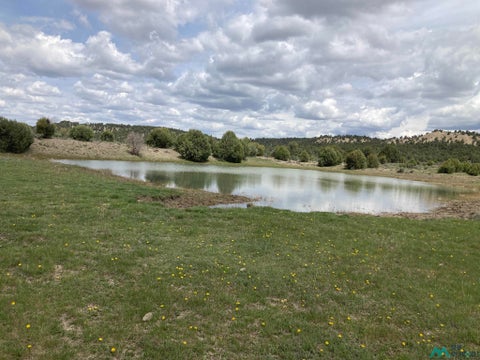 Vacant Land For Sale - 1 Highway 84/64<br/> Tierra Amarilla, NM 87575