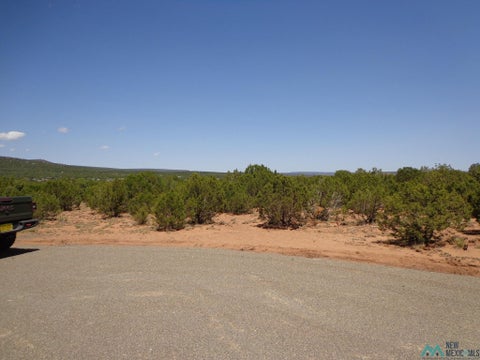 Vacant Land For Sale - 2 Camino Del Sol<br/> Bernal, NM 87569
