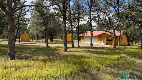 Homes For Sale - 227 El Caso Rd Rd<br/> Quemado, NM 87829