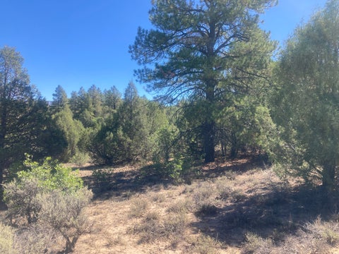 Vacant Land For Sale - Land<br/> Rio Arriba County, Tierra Amarilla, NM 87575