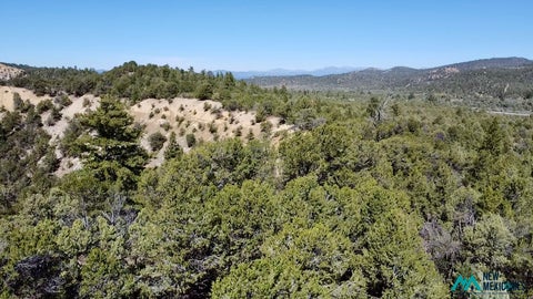 Vacant Land For Sale - 2878 Highway 64<br/> Tierra Amarilla, NM 87575