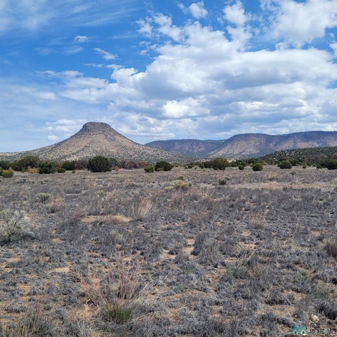 Vacant Land For Sale - 46 Southern Trl #46<br/> Catron County, Datil, NM 87821