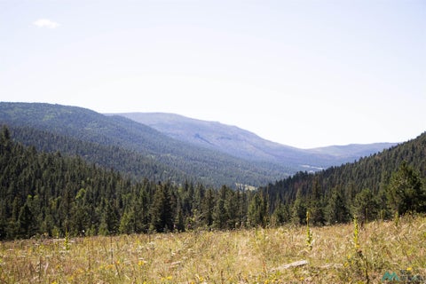 Vacant Land For Sale - 1 Mora County<br/> Mora County, Chacon, NM 87713