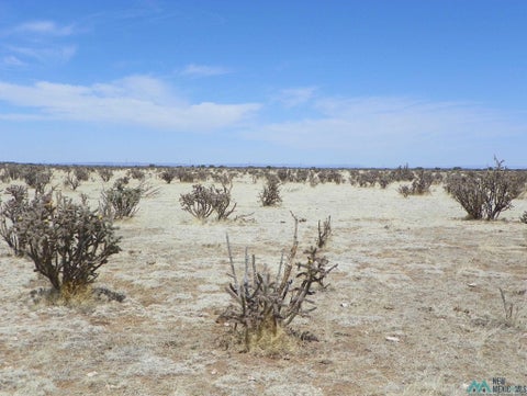 Vacant Land For Sale - 1 0000 Pecos Spur<br/> Guadalupe County, Santa Rosa, NM 88435